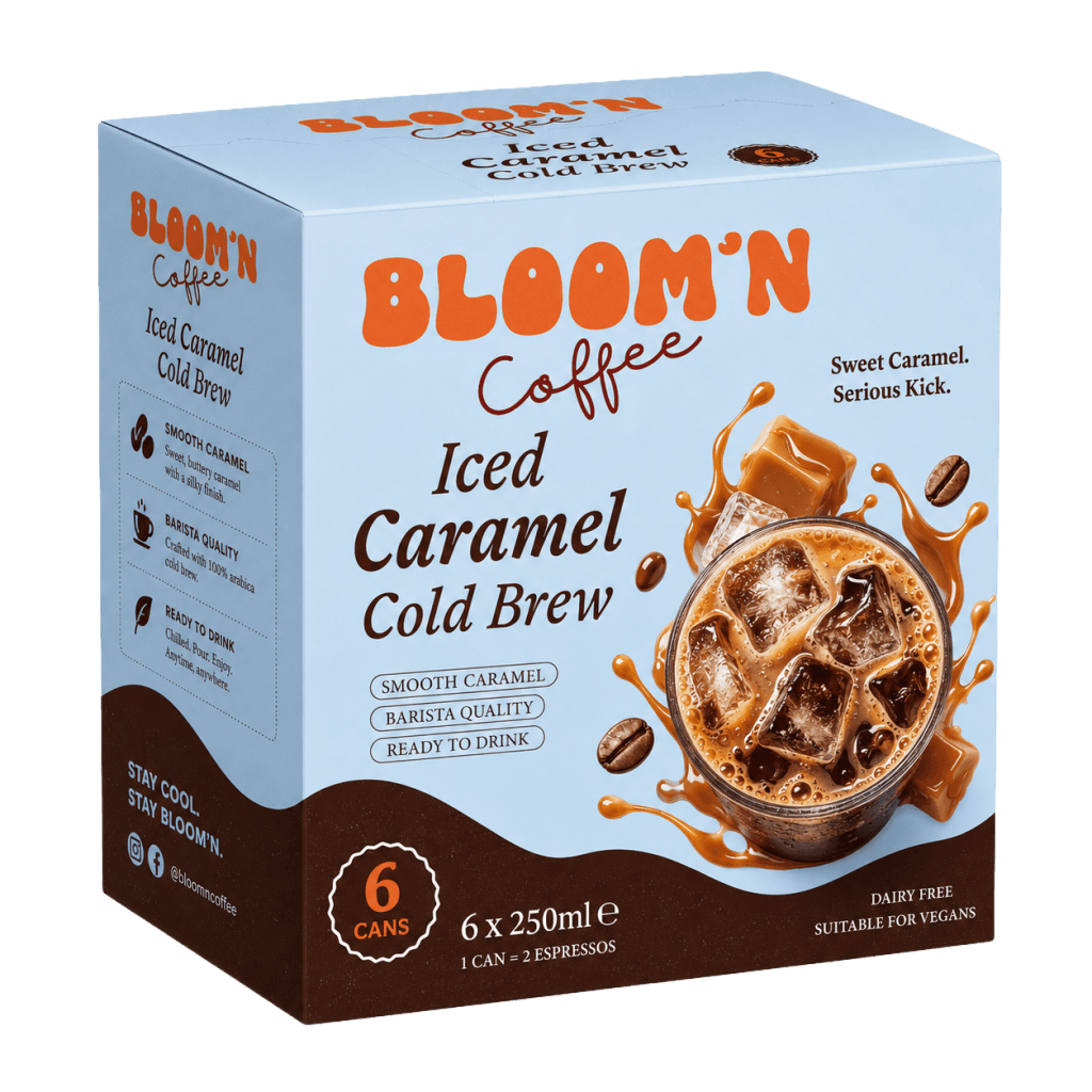 Iced Caramel Cold Brew six can case
